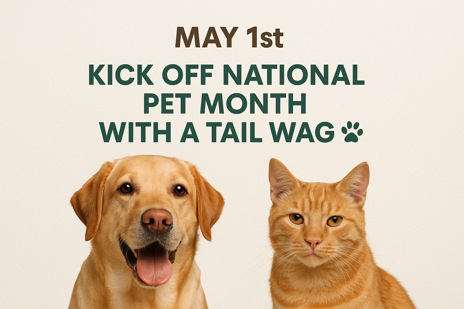 Happy National Pet Month! 🐶🐱