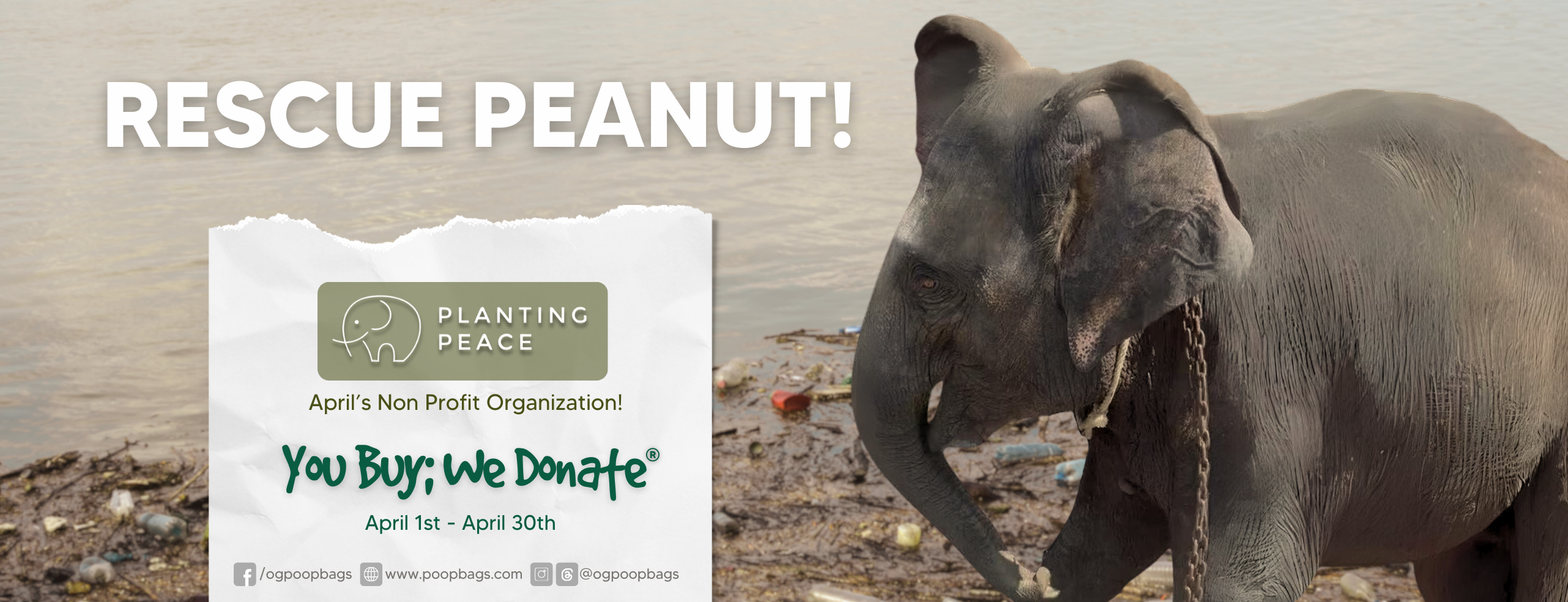 Saving Peanut: A Journey from Chains to Freedom