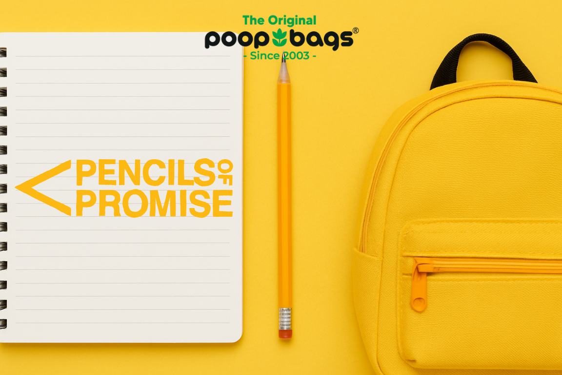 ✏️ What is Pencils of Promise?