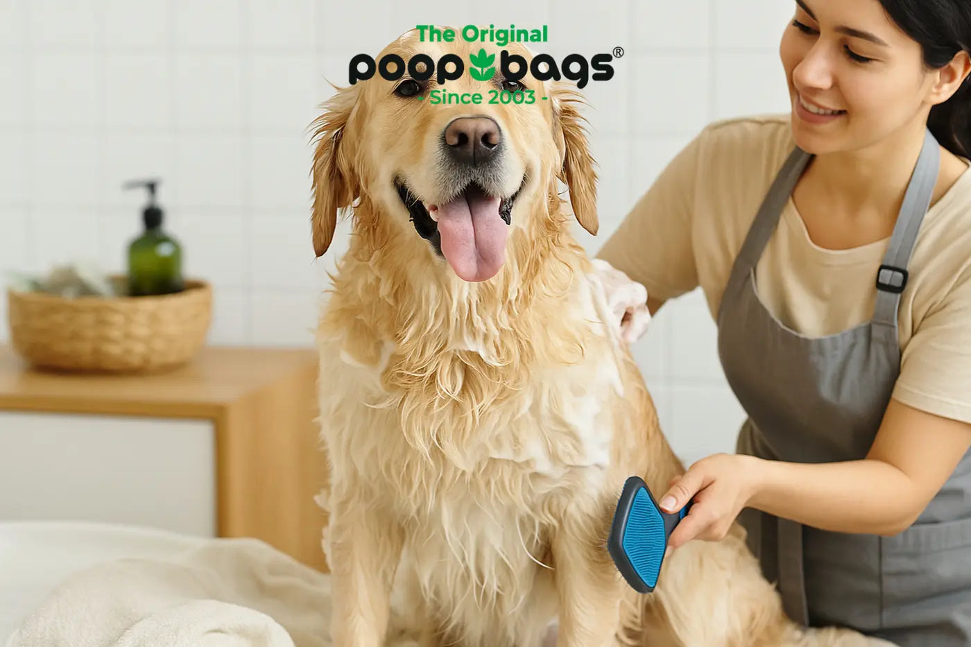 From Muddy to Marvelous: The Complete Guide to Dog Grooming