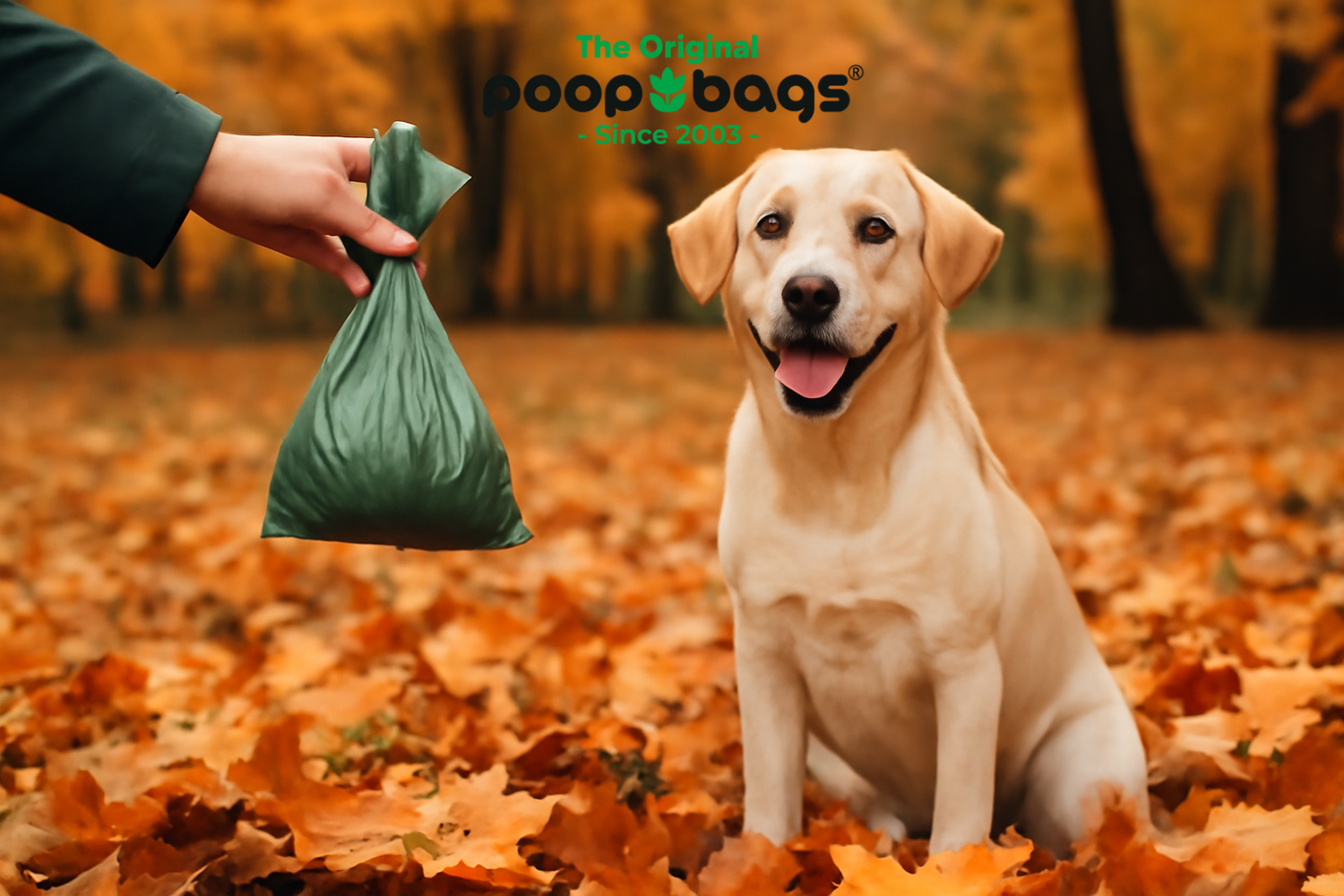 Falling Leaves and Dog Poop: How to Tackle Fall Cleanup Like a Pro