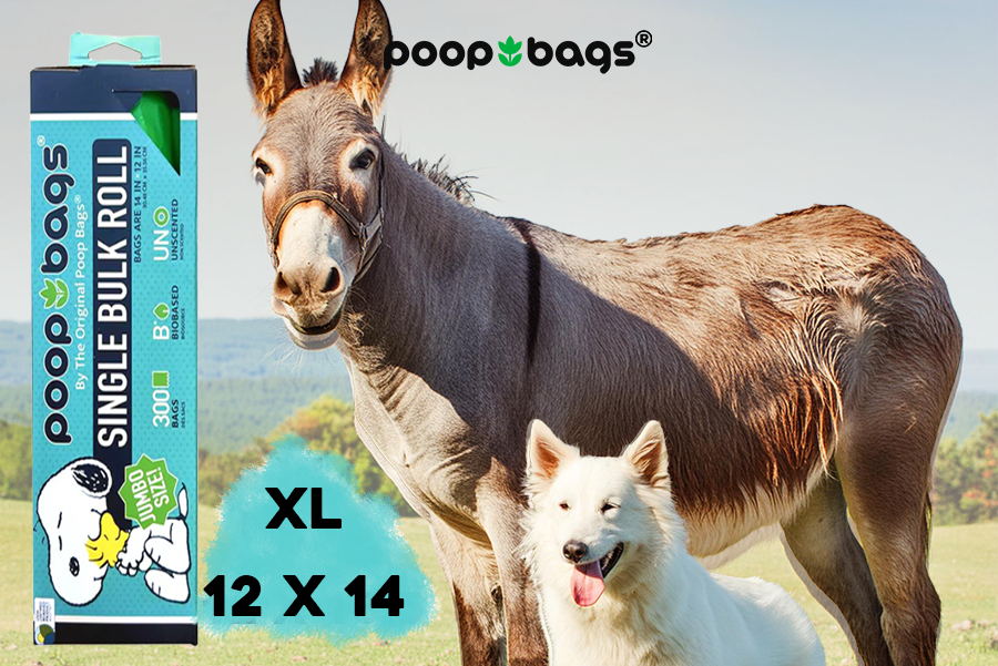 World Donkey Day and the Importance of Poop Bags: