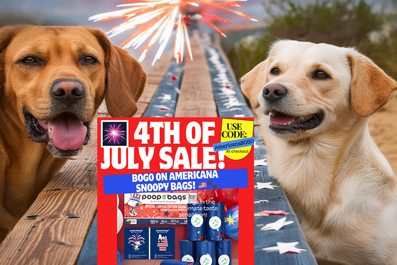 Celebrating the 4th of July with Your Dog: Tips for a Safe and Fun Holiday