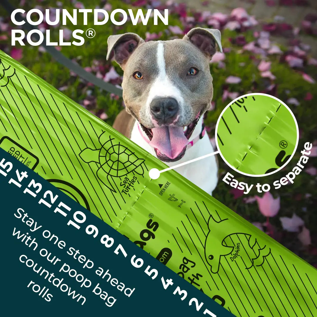 Countdown Rolls® Unscented Leash Roll Poop Bags