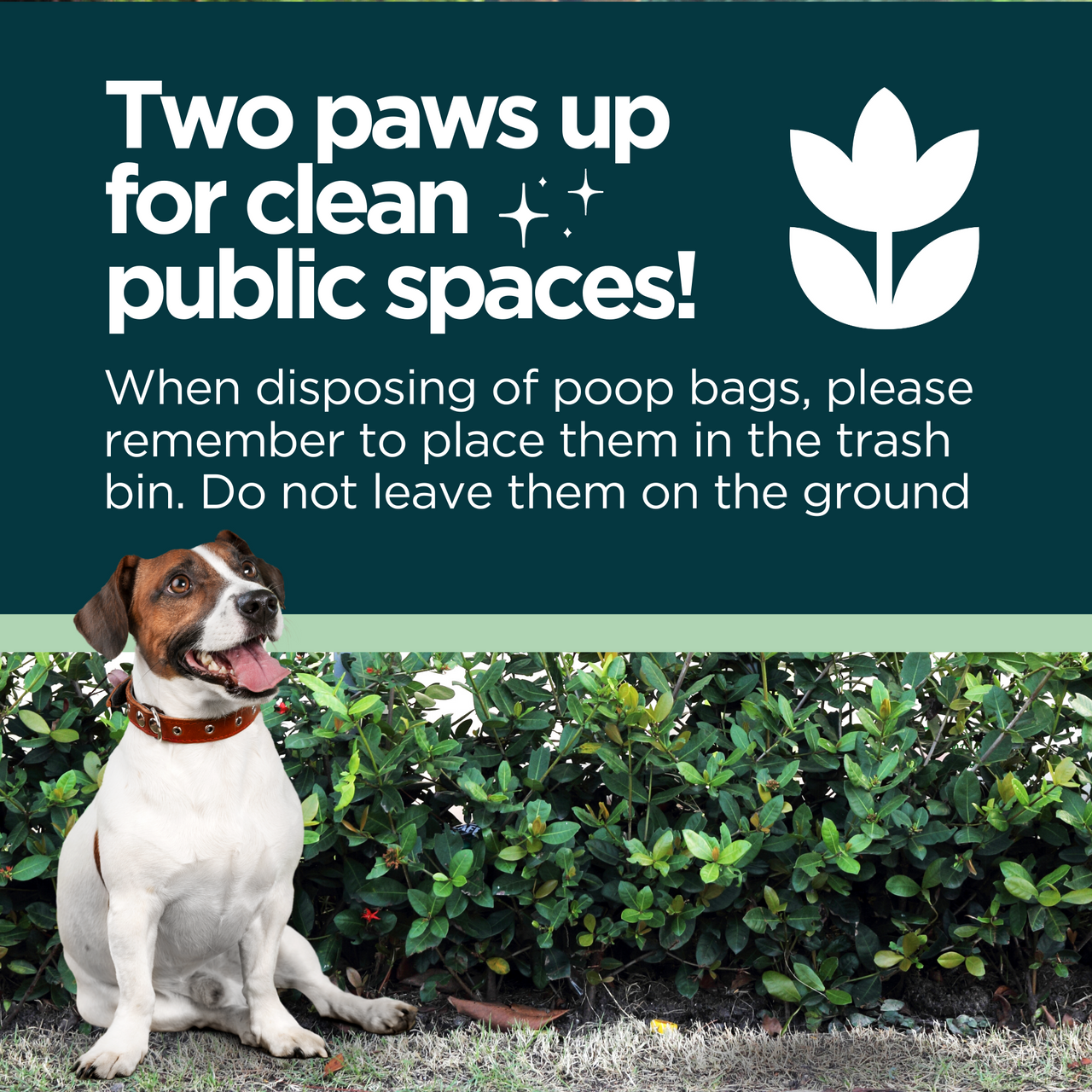 Biobased Poop Bags Bundle (960 poop bags)