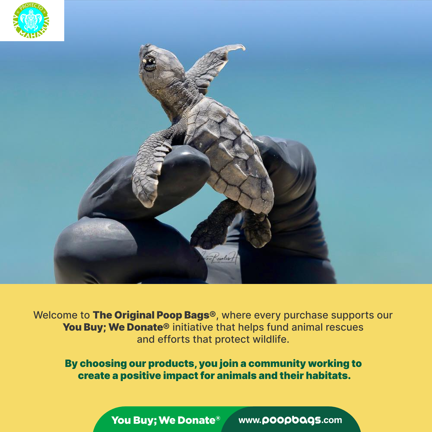 92% Plants - Header Bags ($$$)