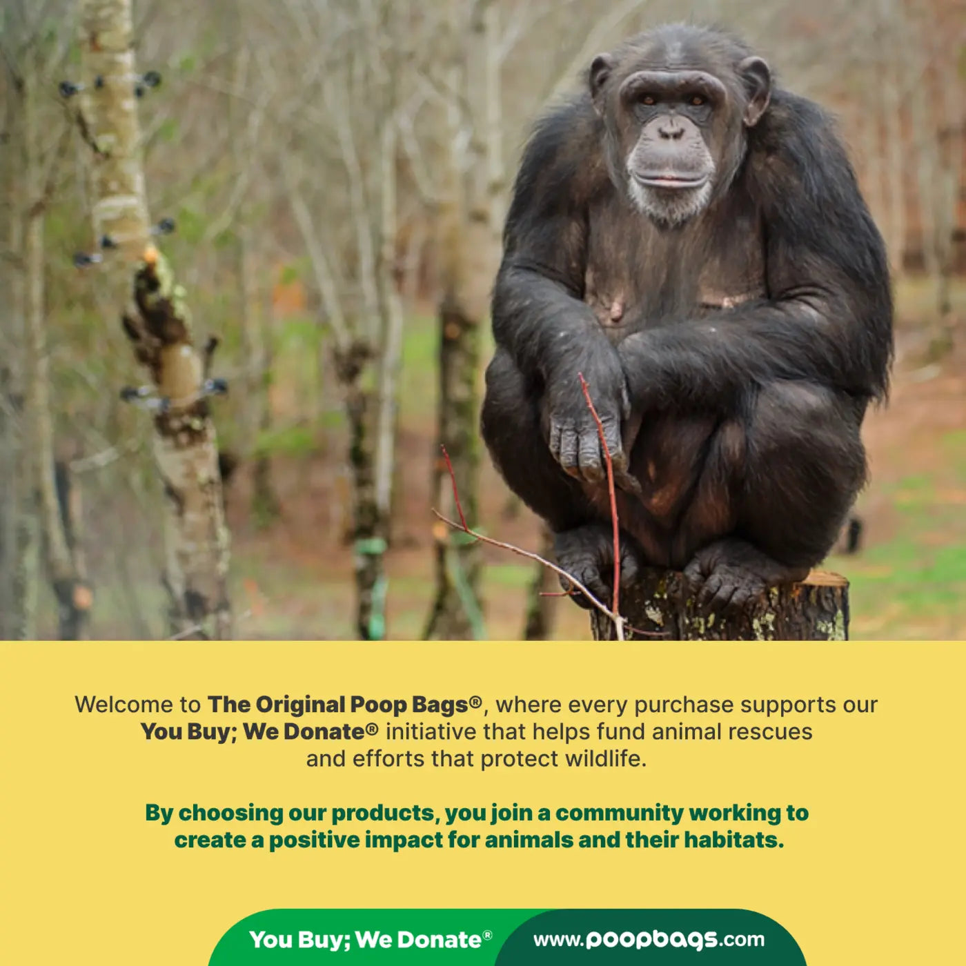 38% Plants - Header Bags ($$)