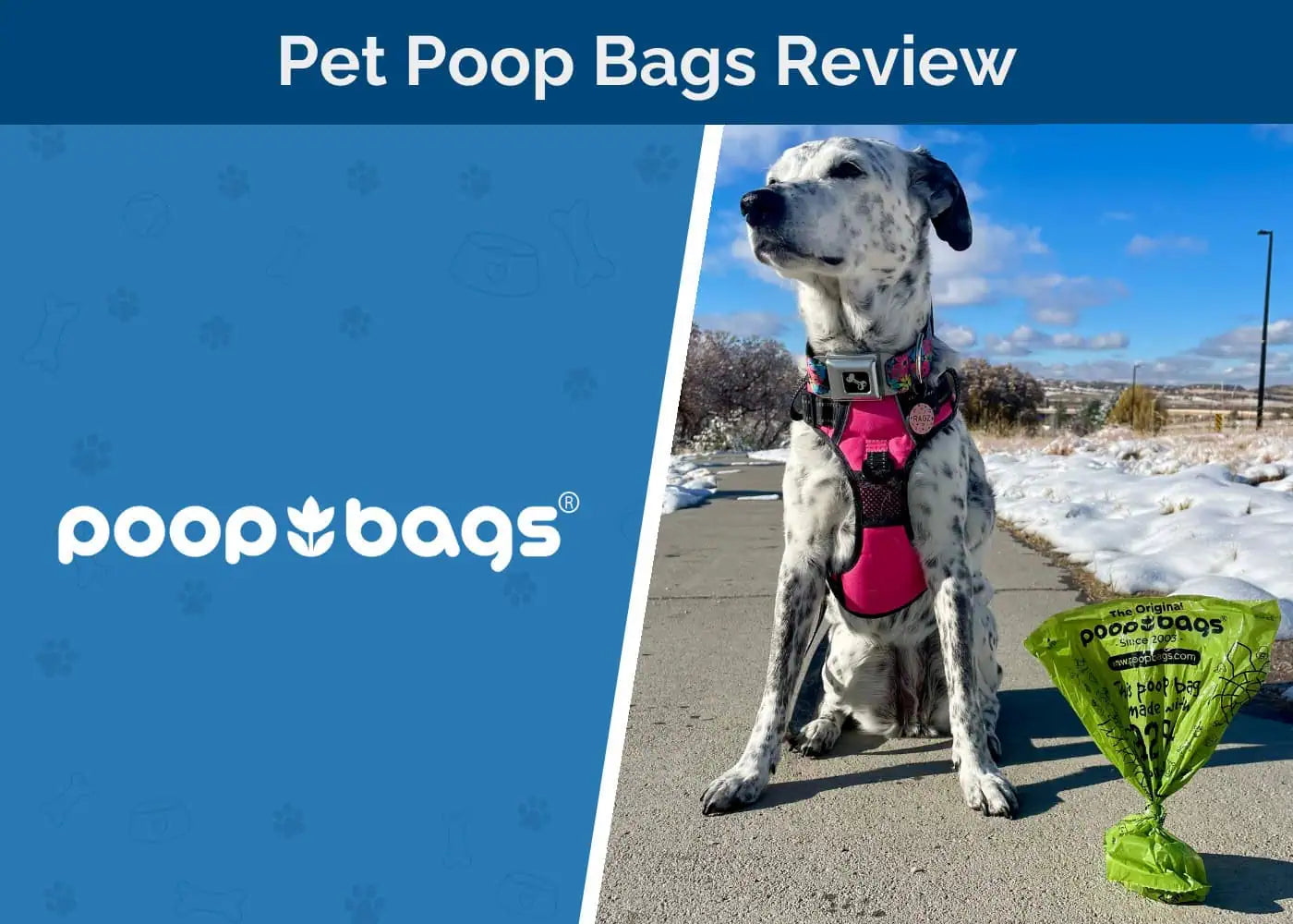 The Original Poop Bags Review 2025: A Cleaner Way to Pick Up