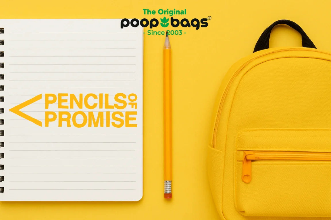 ✏️ What is Pencils of Promise?