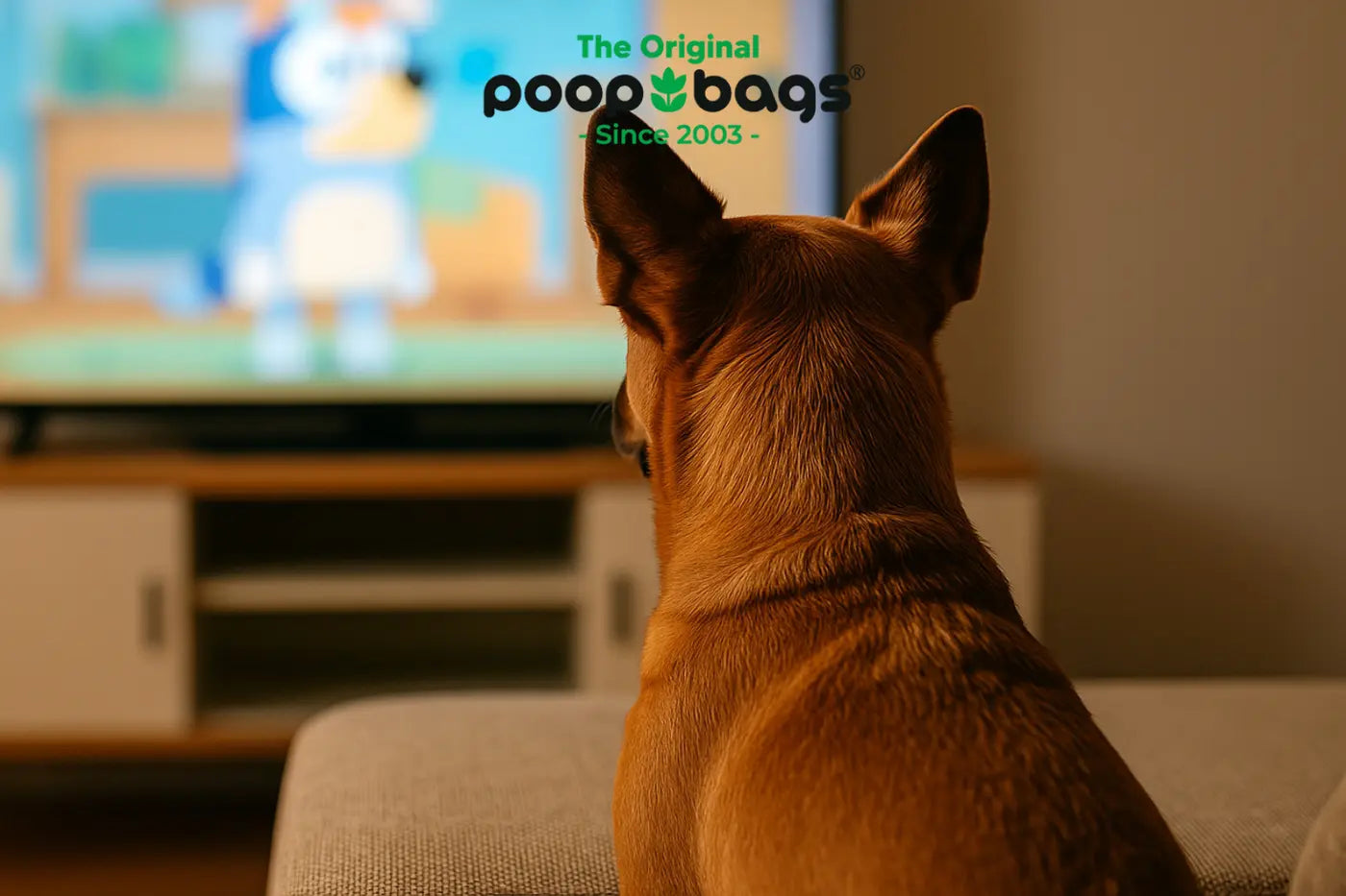Why Dogs Can’t Get Enough of Bluey 🐶📺