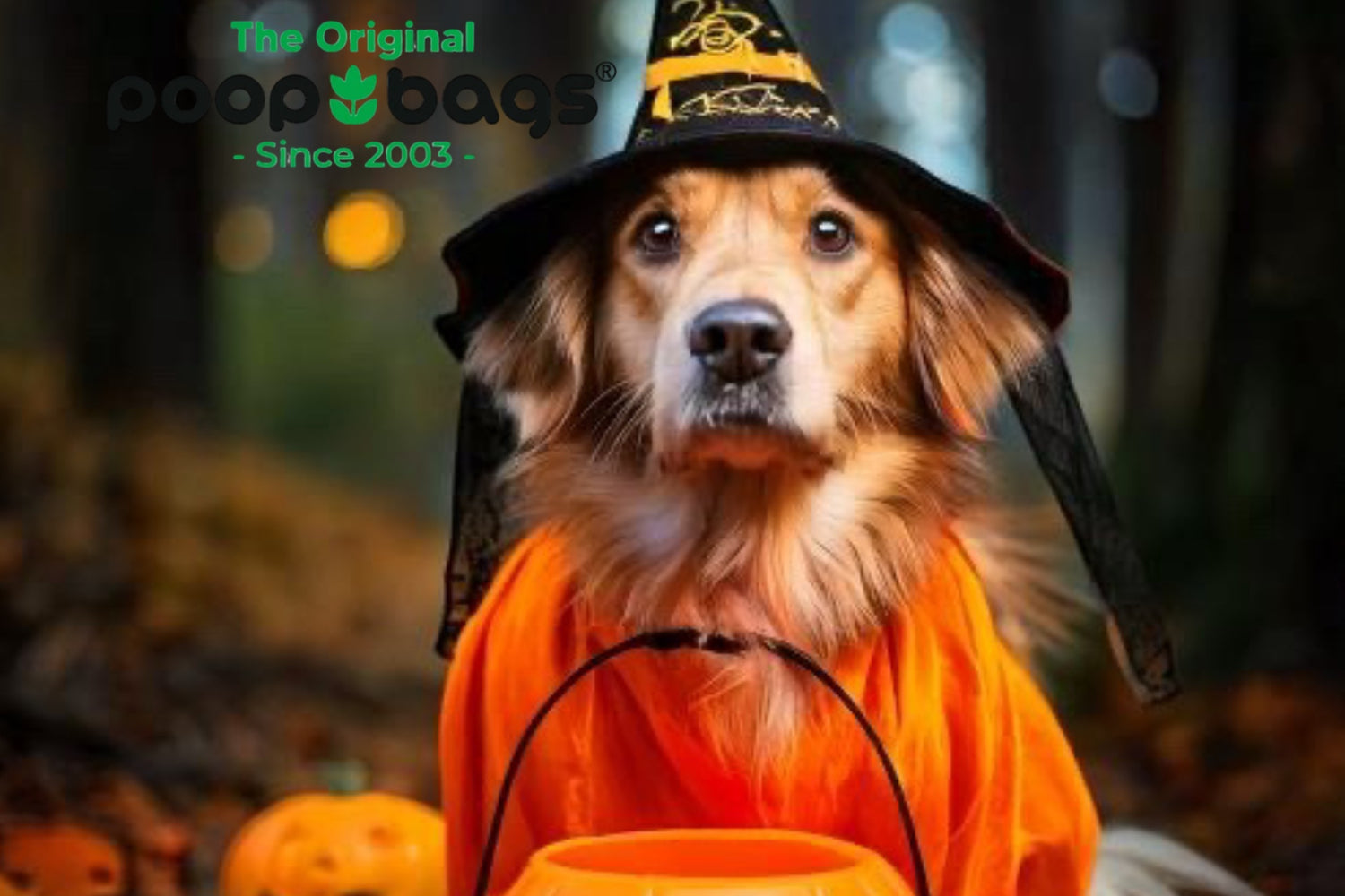 How to Pick the Perfect Halloween Costume for Your Dog