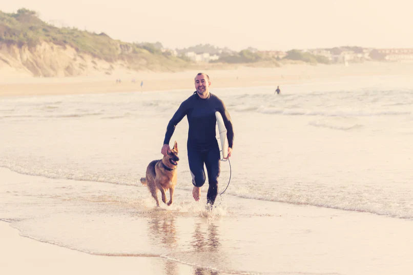 8 Ways to Spend More Time with Your Dog