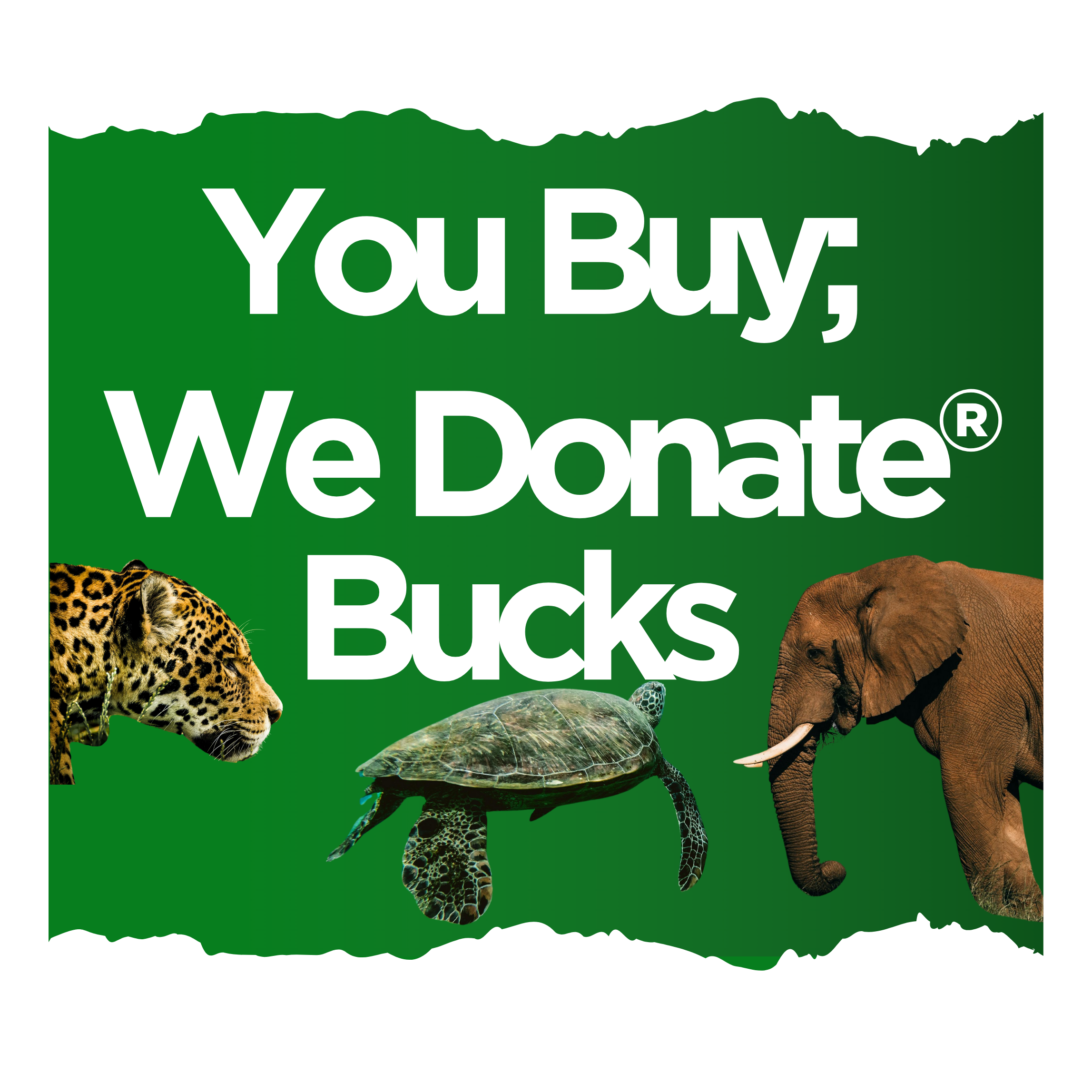 You Buy; We Donate®️ Bucks