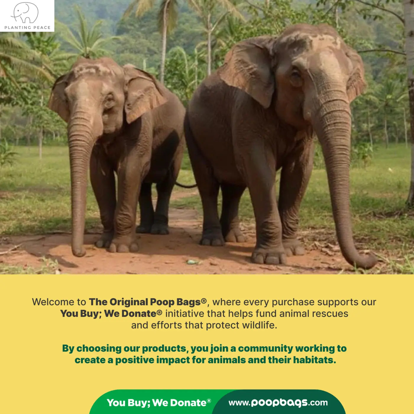Two elephants walk side by side along a dirt path in a green, tropical landscape, with text below explaining a donation initiative that supports wildlife protection.